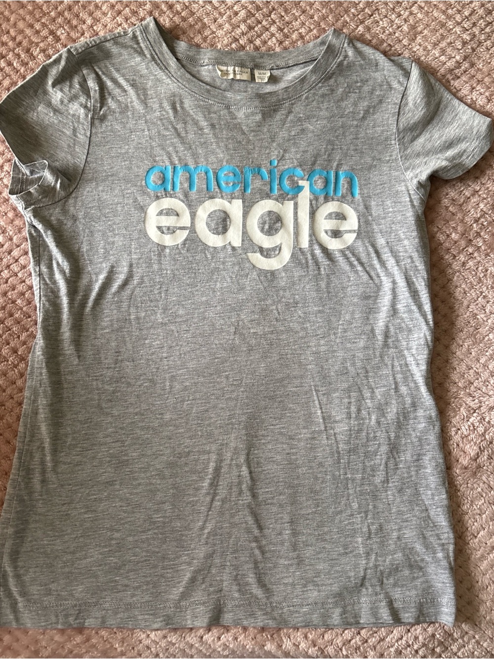 American Eagle Outfitters Gray Crewneck Tee with Navy Label